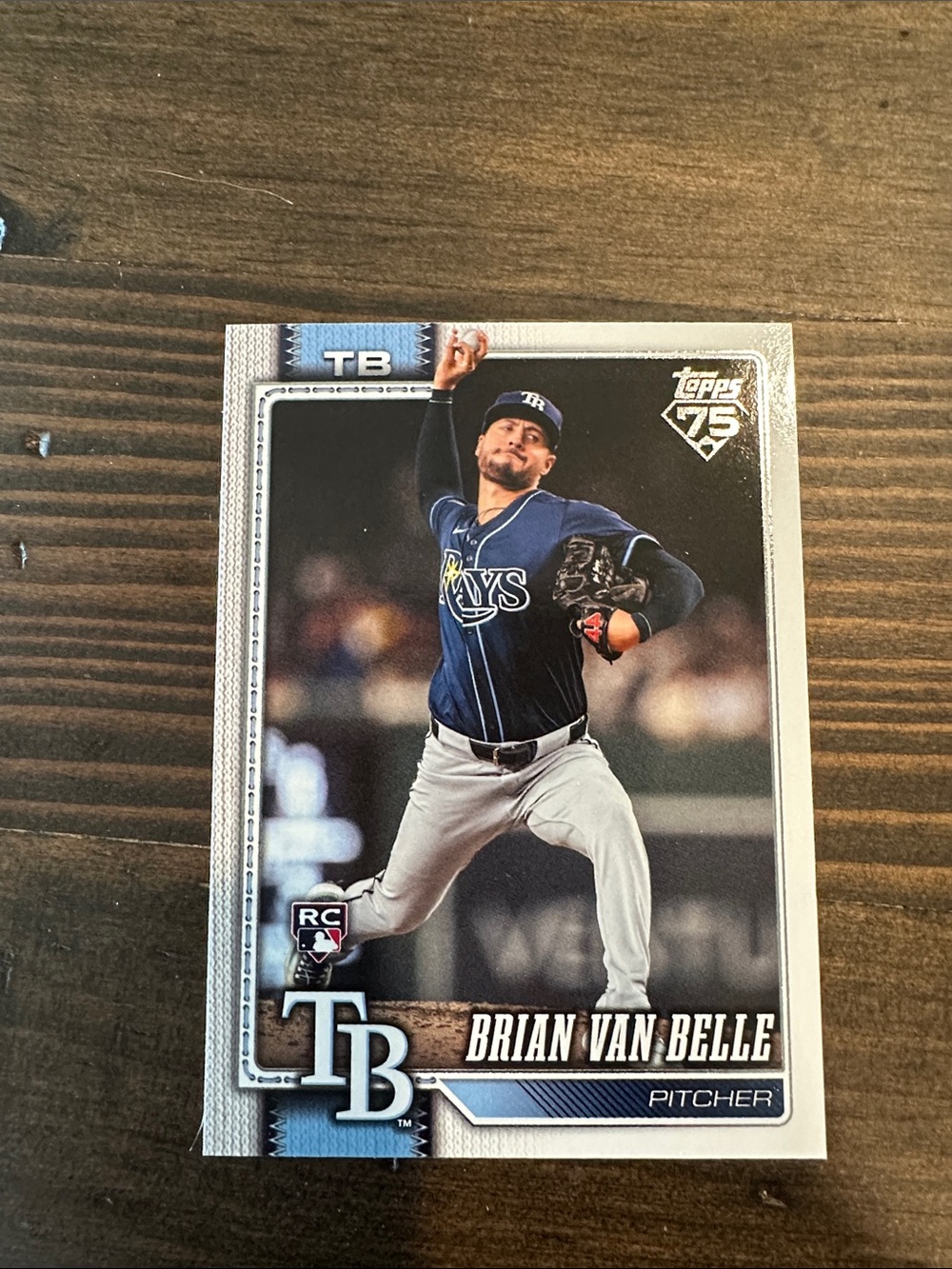 Topps Tampa Bay Rays Brian Van Belle Baseball Rookie Card